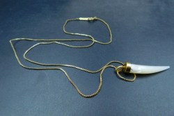 DORLAND NECKLACE HORN GOOD